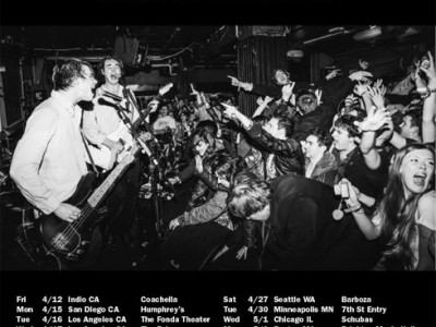 palma violets